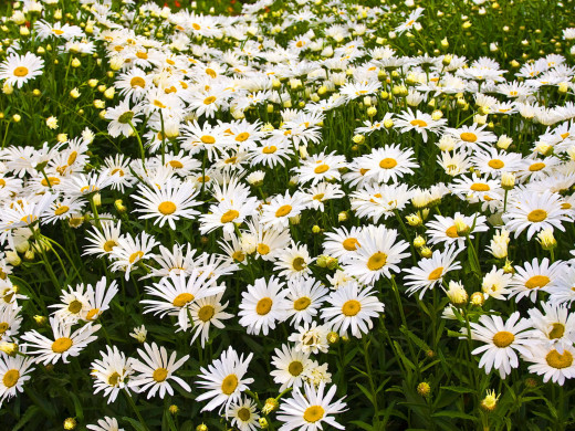 623478 (a): :1600x1200